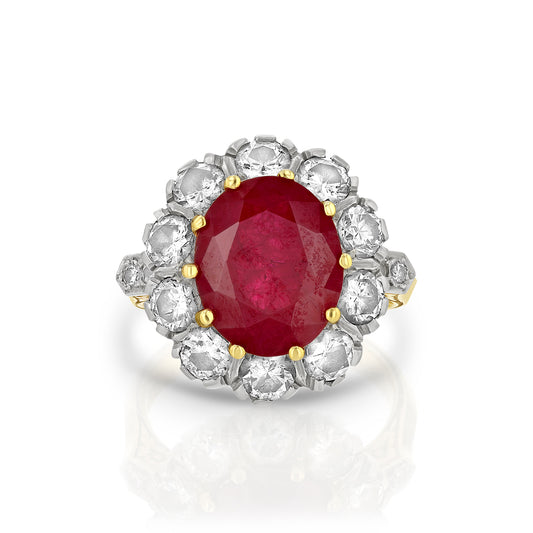 Reve - Queen Pompadour Ruby 2